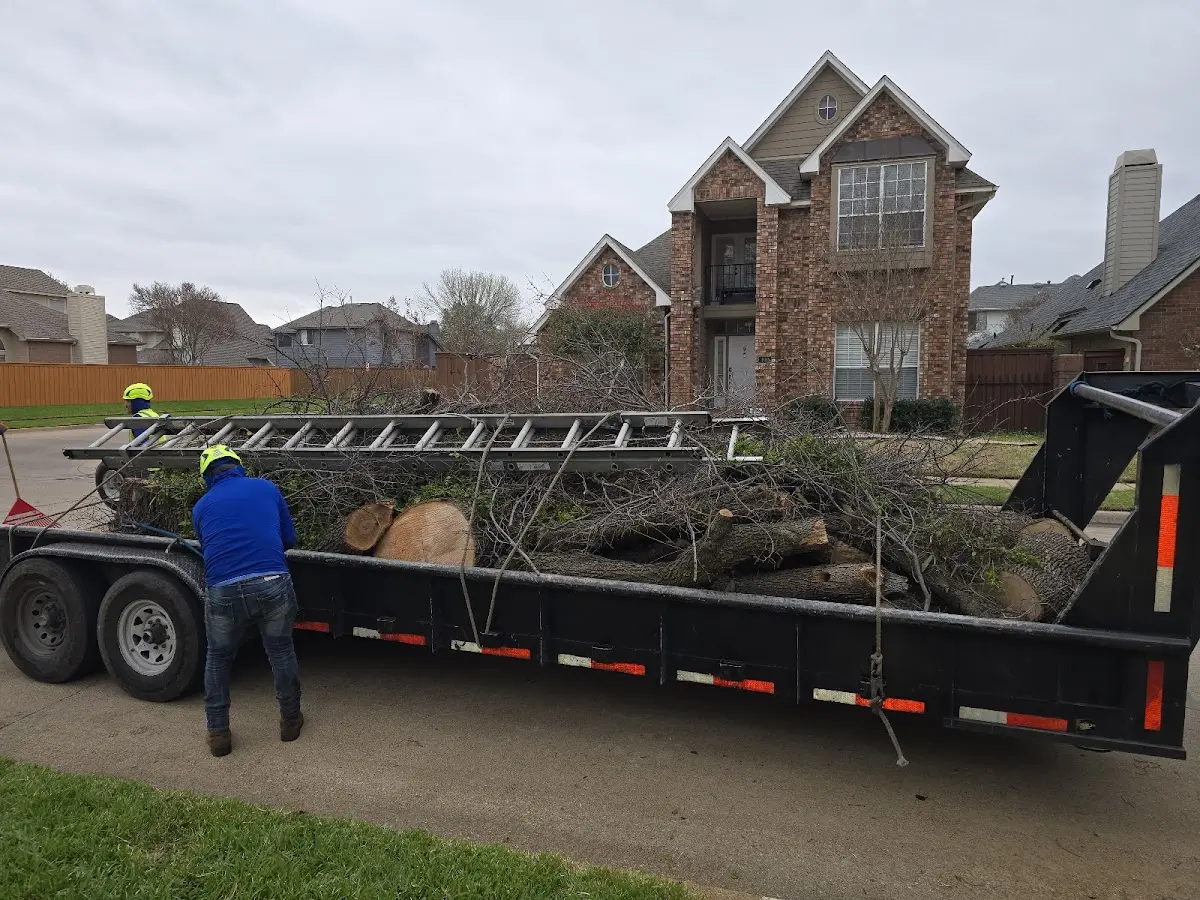 Expert Tree Removal with proper safety equipment in Southampton
